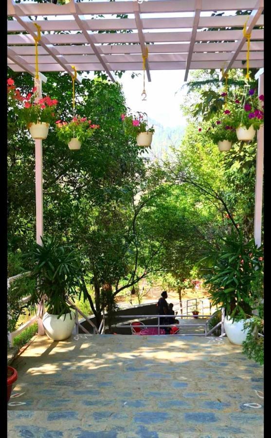 Aaroham Resort Shimla ! Luxury Cottage By Aamod Group Exterior photo