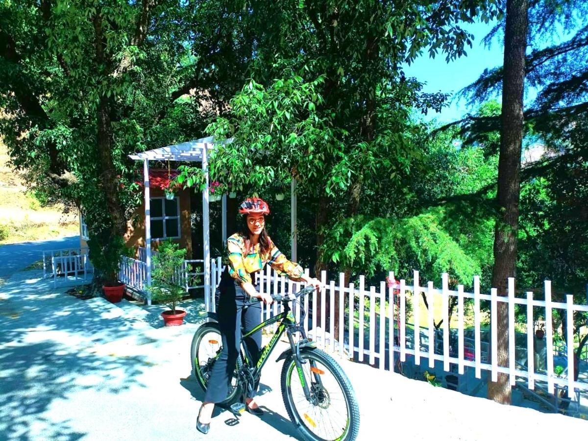 Aaroham Resort Shimla ! Luxury Cottage By Aamod Group Exterior photo