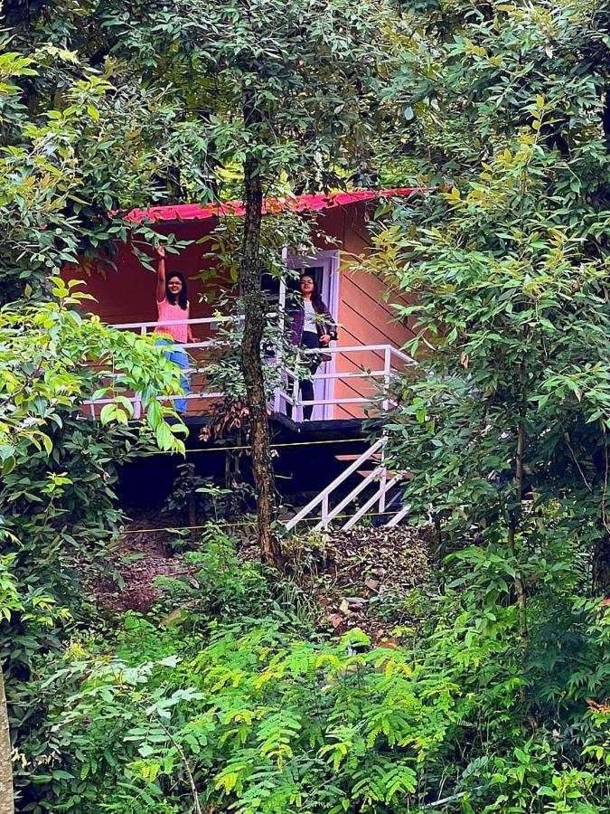 Aaroham Resort Shimla ! Luxury Cottage By Aamod Group Exterior photo